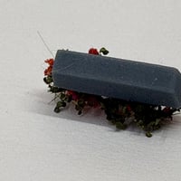 Img 5769
